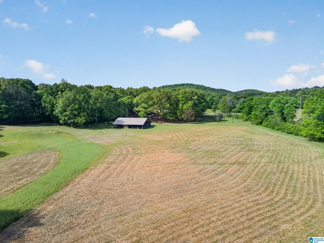 325 GRIZZLE LANE, Talladega, AL 35160
