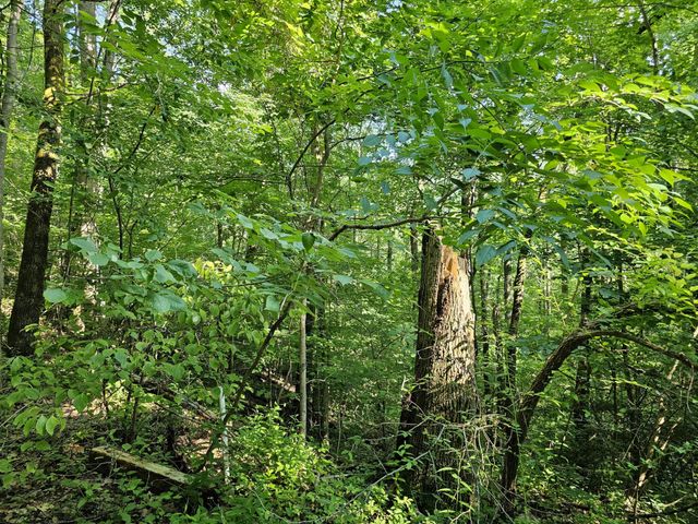 10 Kristina Way, Sevierville, TN 37862