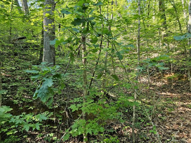 10 Kristina Way, Sevierville, TN 37862