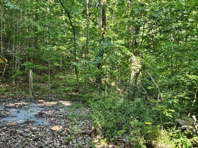 10 Kristina Way, Sevierville, TN 37862