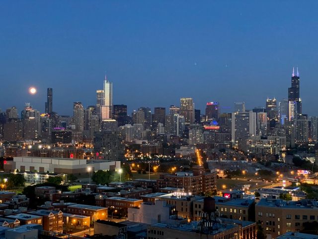 860 W Blackhawk Street 2108, Chicago, IL 60642