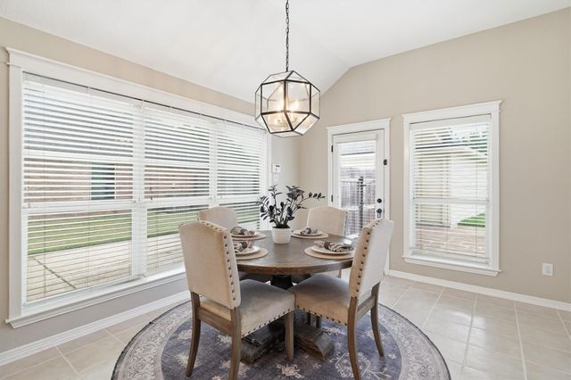 2517 Black Skimmer Court, League City, TX 77573