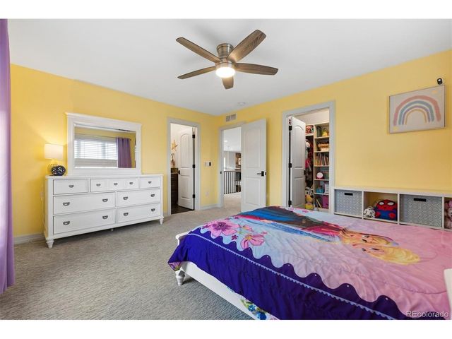 6719 Tremolite Dr, Castle Rock, CO 80108