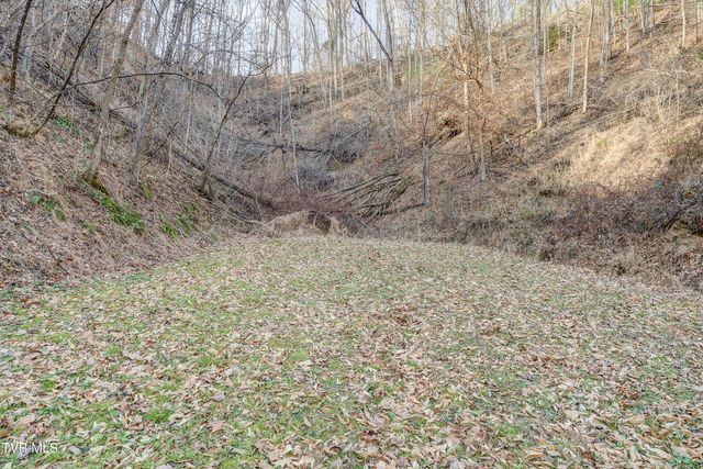 352 Bear Hollow Road, Bristol, TN 37620