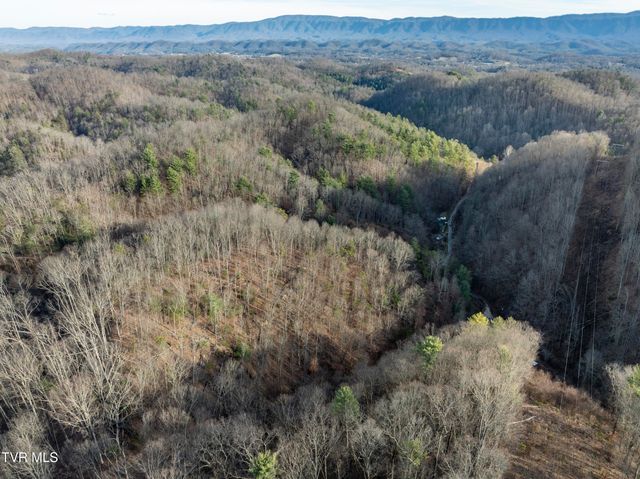 352 Bear Hollow Road, Bristol, TN 37620