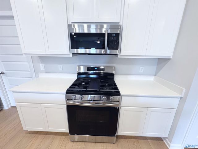 169 Little Britain Street, Madison, AL 35758