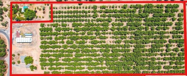 774 Lattin Rd, Biggs, CA 95917