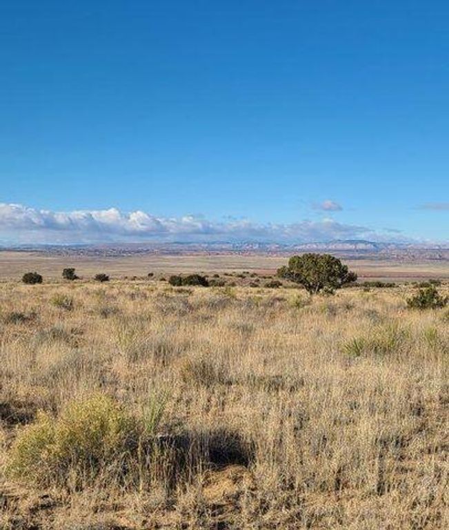 Tren Lot 2 Road, Los Lunas, NM 87031