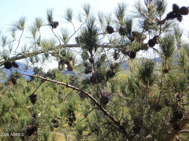 4303 E CACTUS Road 423, Phoenix, AZ 85032