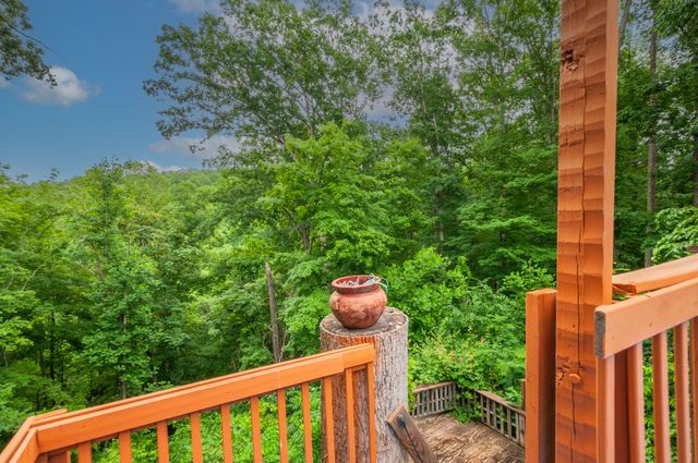 4484 Beech Nut Ct, Pegram, TN 37143