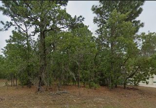 1485 W LAMPLIGHTER STREET, Citrus Springs, FL 34434