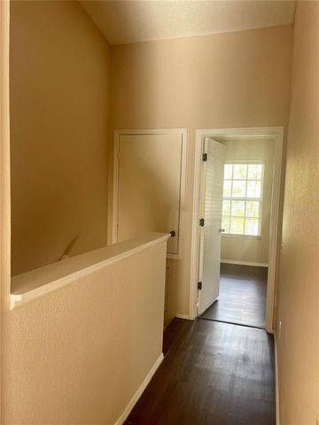 29916 ALTA VITA LANE, Wesley Chapel, FL 33543