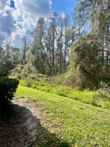 29916 ALTA VITA LANE, Wesley Chapel, FL 33543