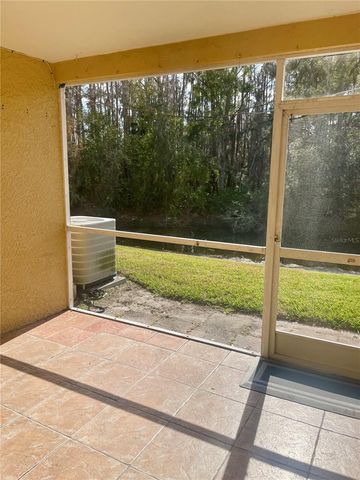 29916 ALTA VITA LANE, Wesley Chapel, FL 33543