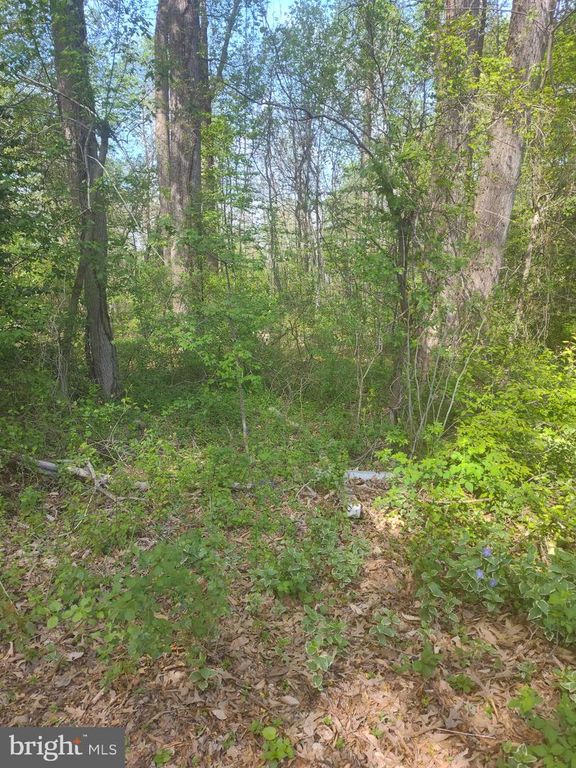 Image 2 of property listing at CROOM AIRPORT RD, Upper Marlboro, MD 20772