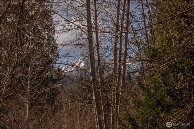 346 Dungeness Meadows, Sequim, WA 98382