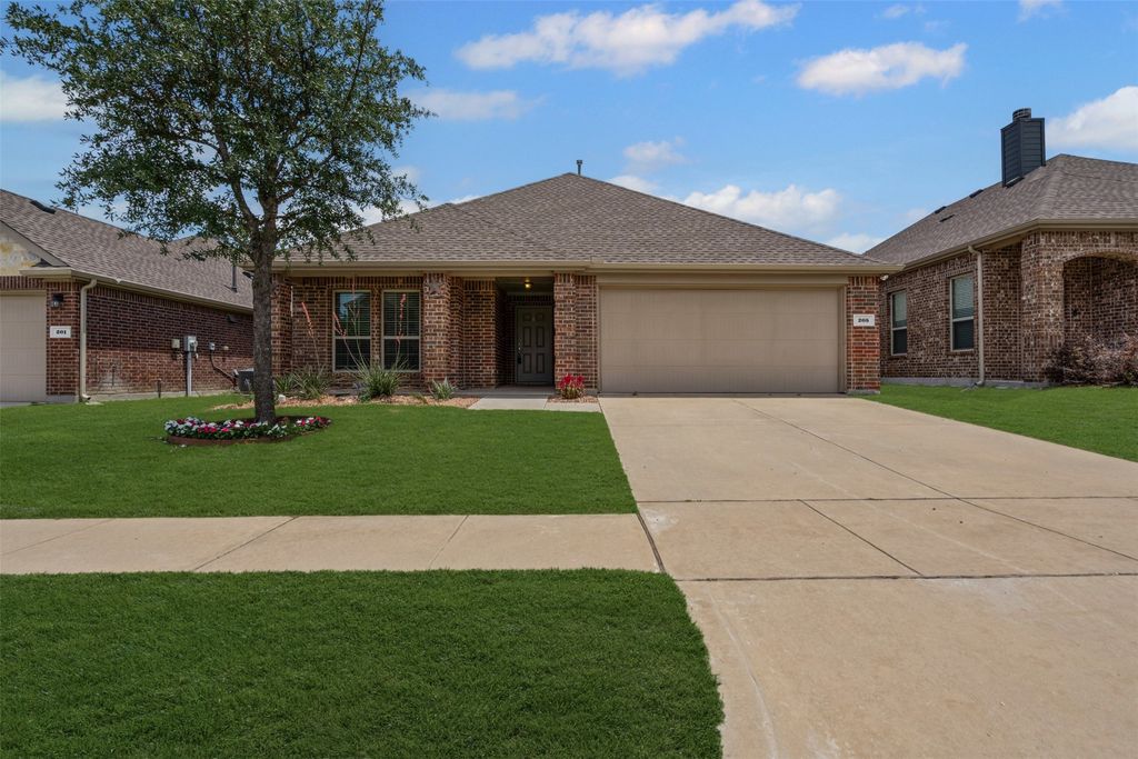 205 Mount Olive Avenue, Mckinney, TX 75072