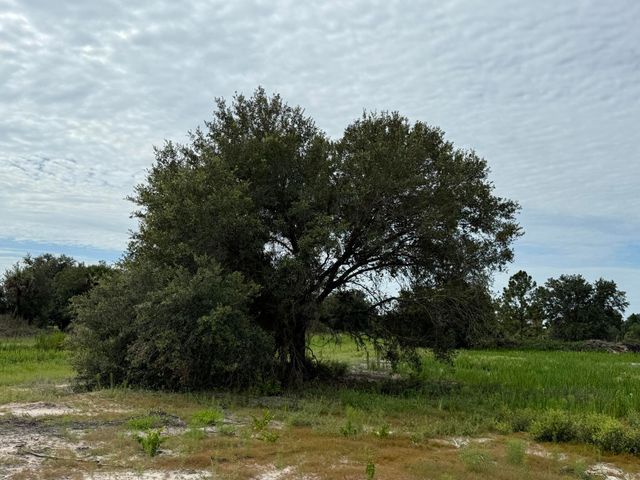 16814 NW 296th Street, Okeechobee, FL 34972