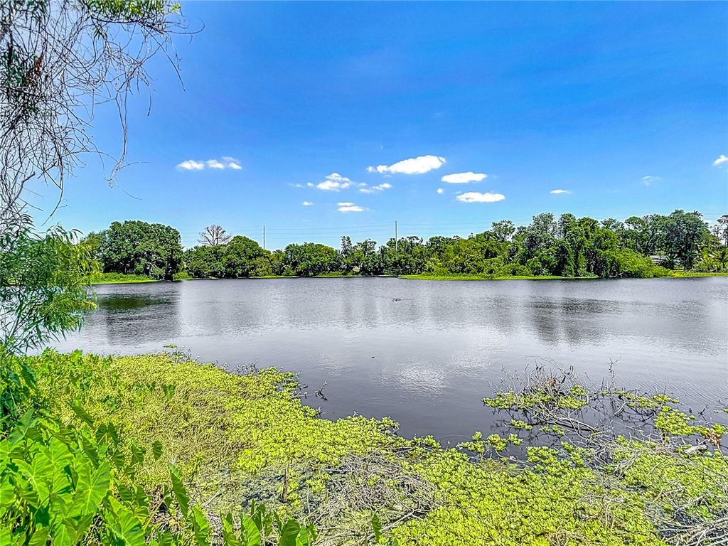 Image 37 of property listing at 3810 HOLLISTER PLACE, Brandon, FL 33511