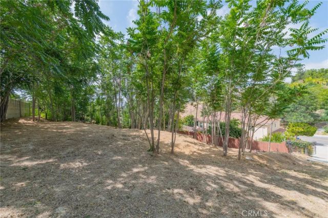 420 Camino De Gloria, Walnut, CA 91789