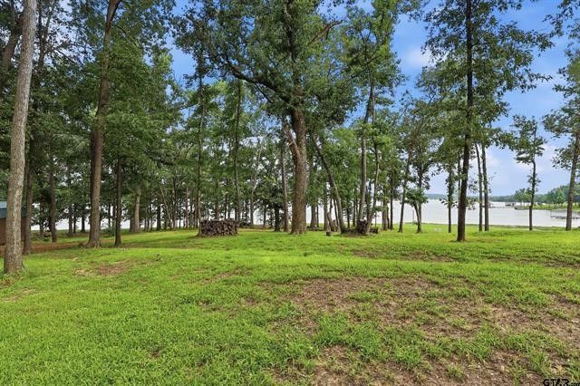 20 Red Oak, Scroggins, TX 75480