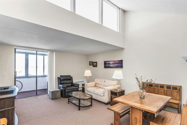 800 Willis Avenue 303, Albertson, NY 11507