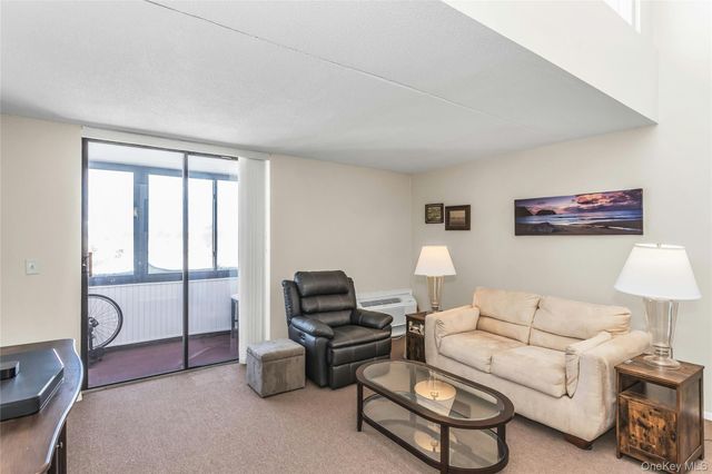 800 Willis Avenue 303, Albertson, NY 11507