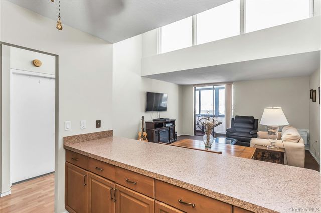 800 Willis Avenue 303, Albertson, NY 11507