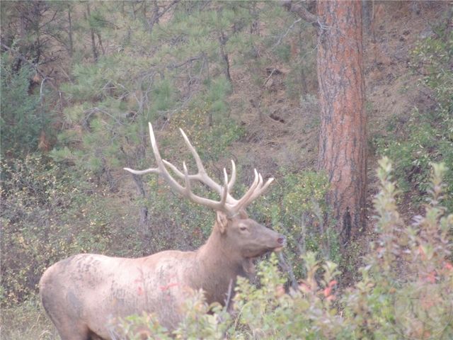 TBD County Rd 147A, Custer, MT 59024
