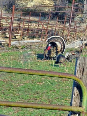 TBD County Rd 147A, Custer, MT 59024