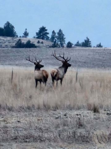 TBD County Rd 147A, Custer, MT 59024