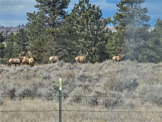 TBD County Rd 147A, Custer, MT 59024