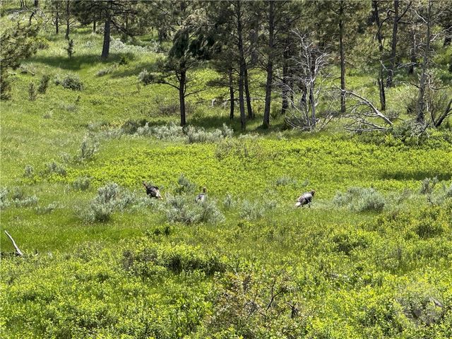 TBD County Rd 147A, Custer, MT 59024