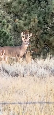 TBD County Rd 147A, Custer, MT 59024