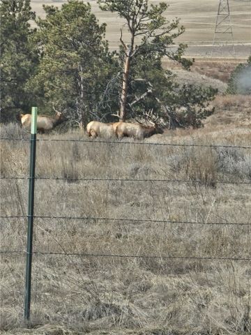 TBD County Rd 147A, Custer, MT 59024