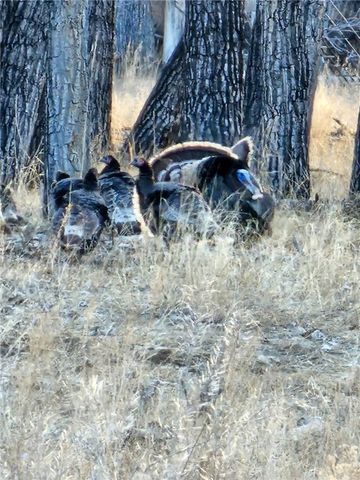 TBD County Rd 147A, Custer, MT 59024