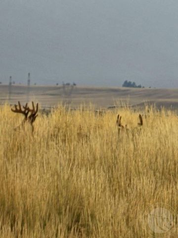 TBD County Rd 147A, Custer, MT 59024