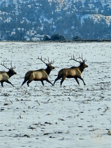 TBD County Rd 147A, Custer, MT 59024