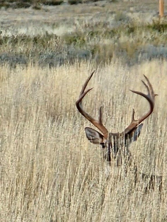 TBD County Rd 147A, Custer, MT 59024 photo 15