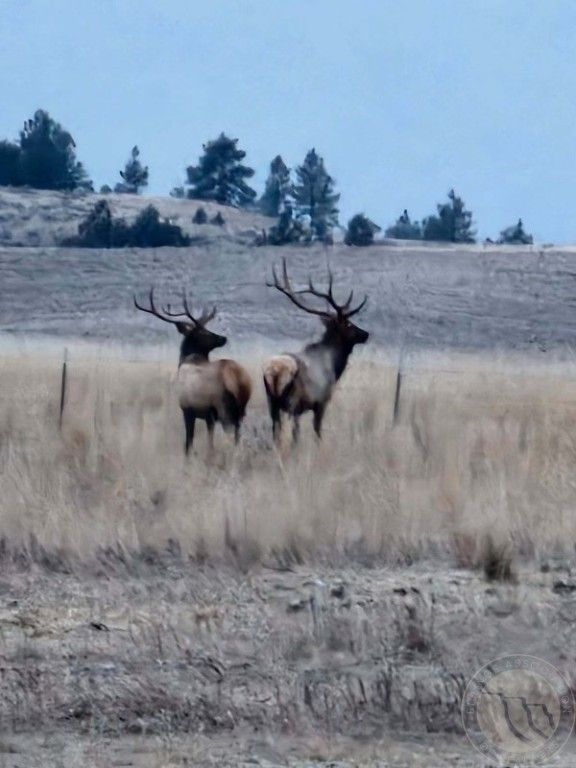 TBD County Rd 147A, Custer, MT 59024 photo 16