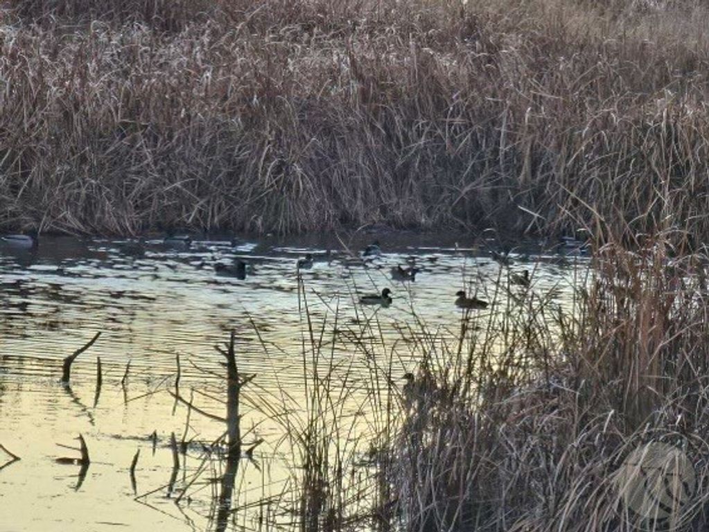 TBD County Rd 147A, Custer, MT 59024 photo 17