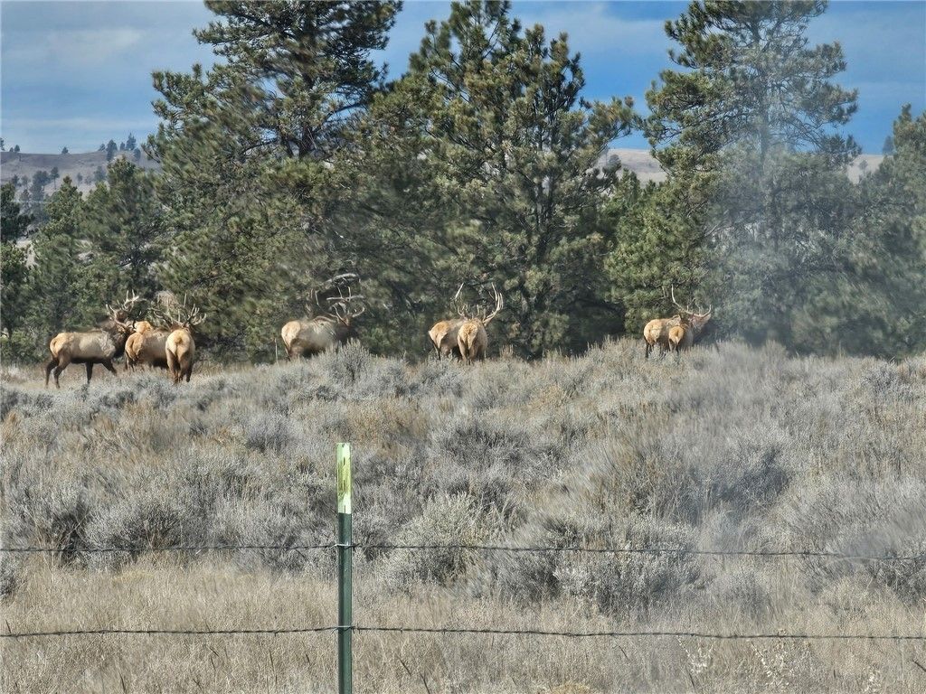 TBD County Rd 147A, Custer, MT 59024 photo 2