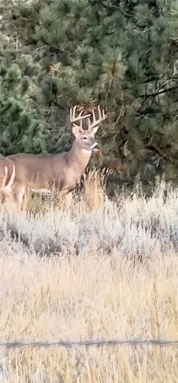 TBD County Rd 147A, Custer, MT 59024 photo 25