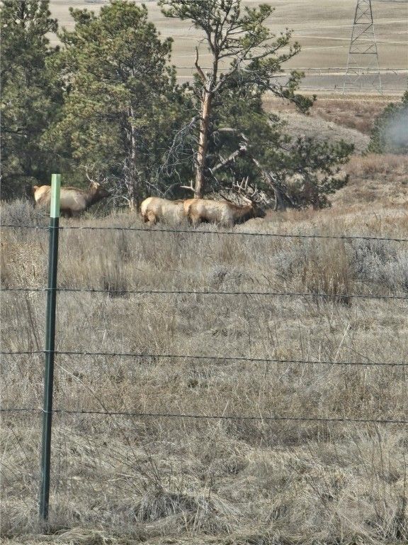 TBD County Rd 147A, Custer, MT 59024 photo 26