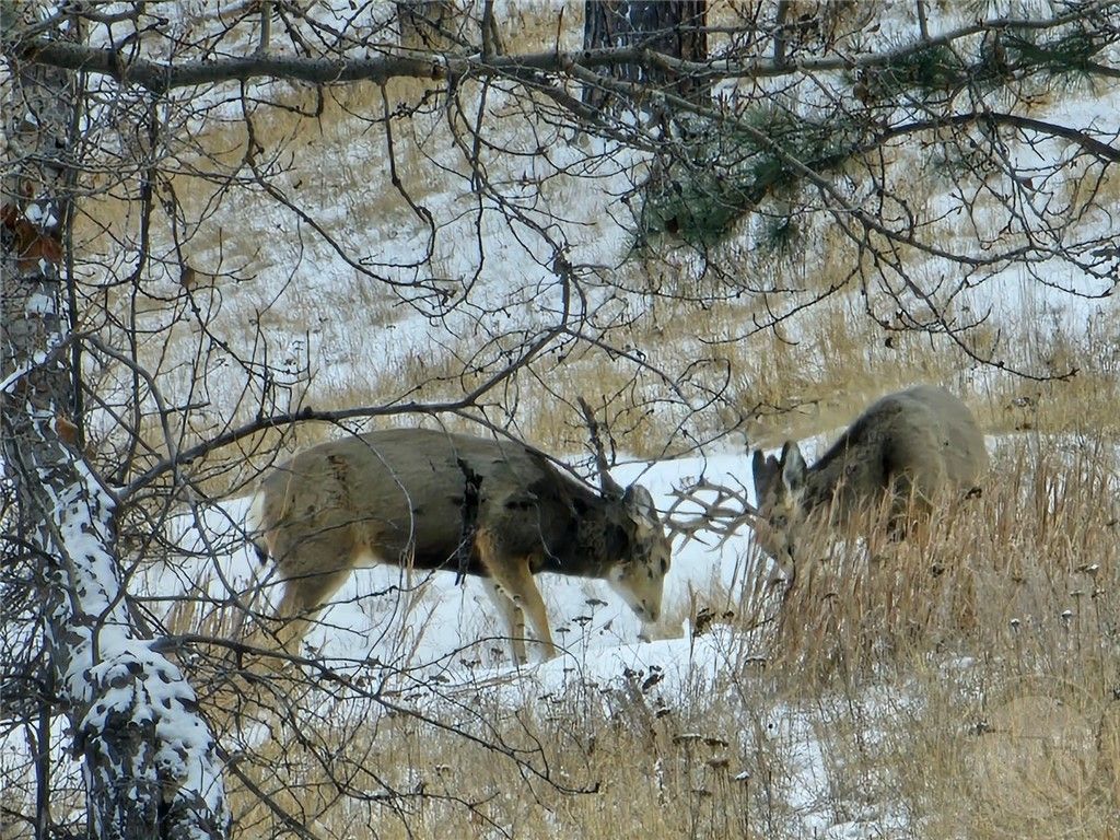 TBD County Rd 147A, Custer, MT 59024 photo 33