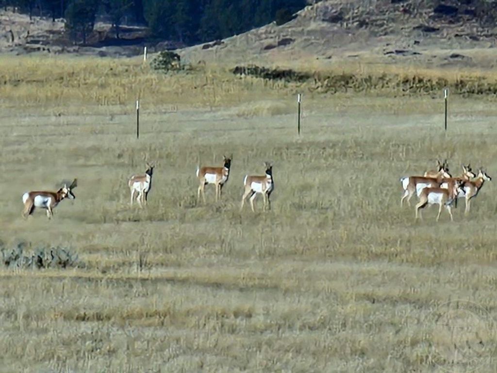 TBD County Rd 147A, Custer, MT 59024 photo 34