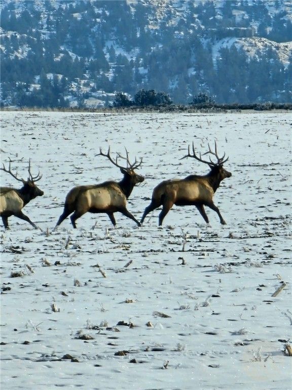 TBD County Rd 147A, Custer, MT 59024 photo 4