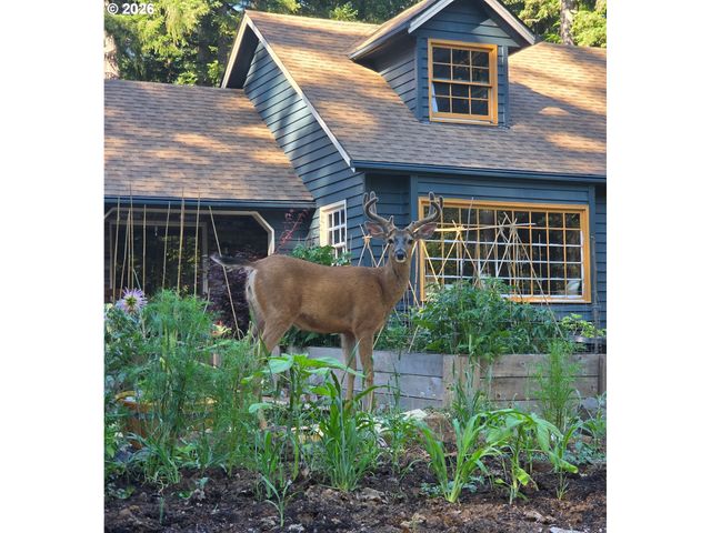 21839 Ne 227TH Ave, Battle Ground, WA 98604