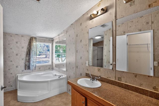 41933 PINE VALLEY DRIVE, Paisley, FL 32767