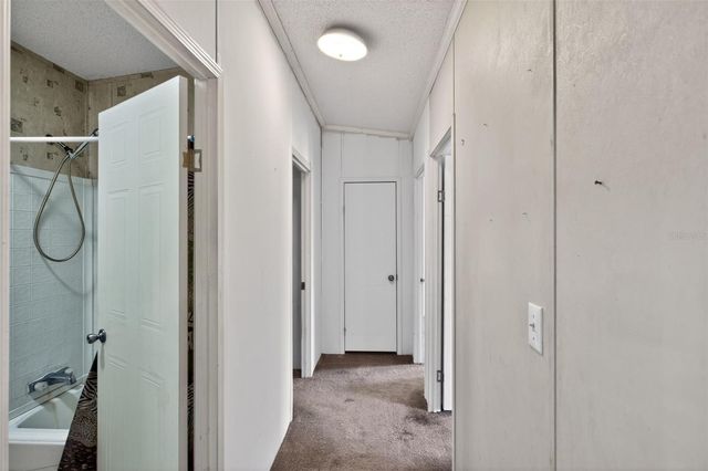 41933 PINE VALLEY DRIVE, Paisley, FL 32767